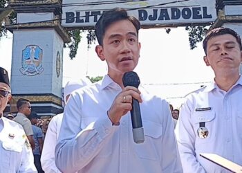 PDIP Dukung Penugasan Gibran ke Papua, Deddy Sitorus: Jangan Sering Pulang