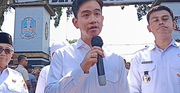 PDIP Dukung Penugasan Gibran ke Papua, Deddy Sitorus: Jangan Sering Pulang