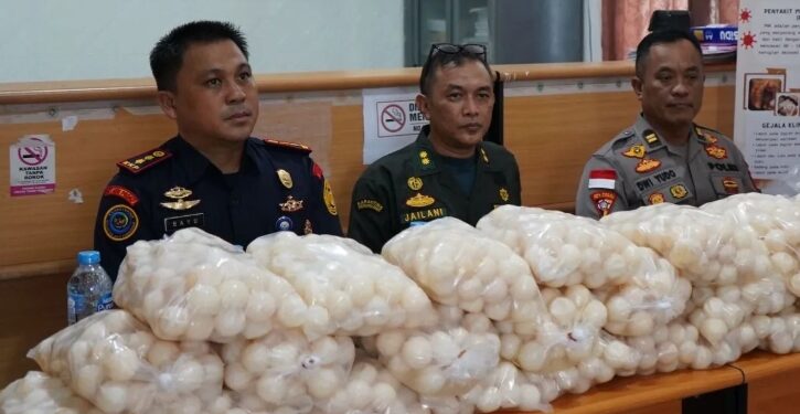 Penyelundupan 5.400 Telur Penyu Digagalkan di Sambas, KKP Telusuri Jaringan Perdagangan