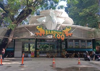 Bandung Zoo Ditutup! Sengketa Manajemen Berujung Ricuh