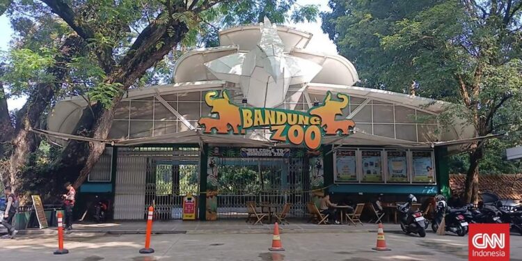 Bandung Zoo Ditutup! Sengketa Manajemen Berujung Ricuh